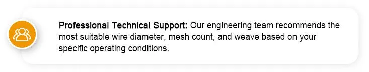 Professional Technical Support