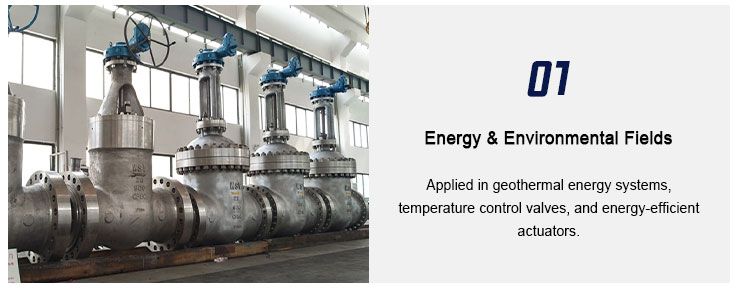 Nickel-Titanium Alloy Wire