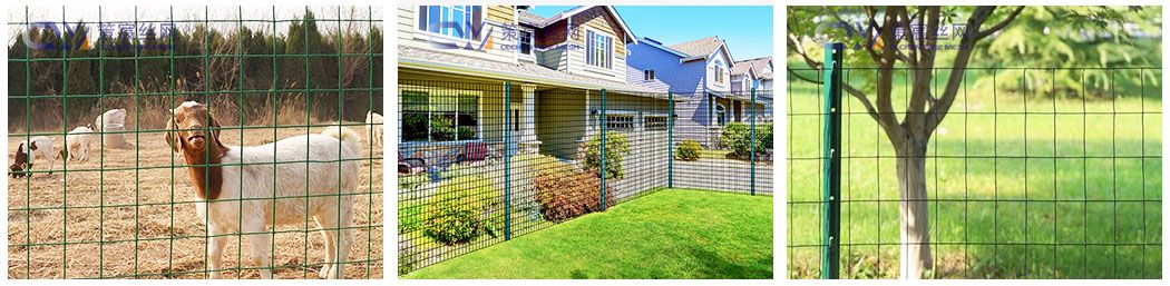 PVC coated wire mesh is suitable for fencing, garden protection, animal enclosures, construction, and decorative purposes.
