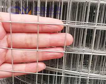 Zirconium Welded Wire Mesh