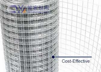 Galvanized Wire Mesh