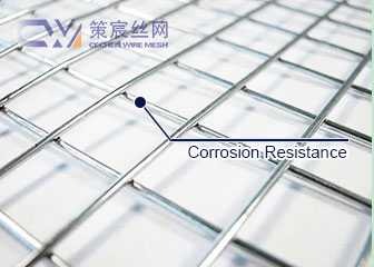 Galvanized Wire Mesh