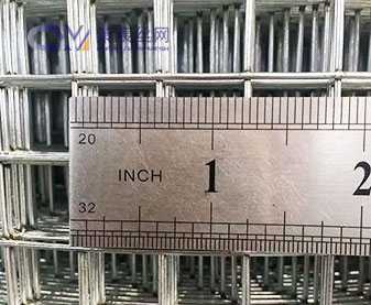 Galvanized Wire Mesh