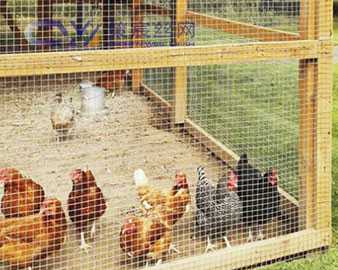 Chicken Coops