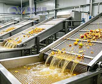 Stainless Steel Mesh for Food Processing