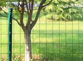 PVC coated wire mesh is suitable for fencing, garden protection, animal enclosures, construction, and decorative purposes.