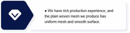 Plain Woven Mesh