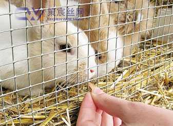 Stainless steel welded mesh is used for fencing, construction reinforcement, safety protection, cages, and industrial applications.