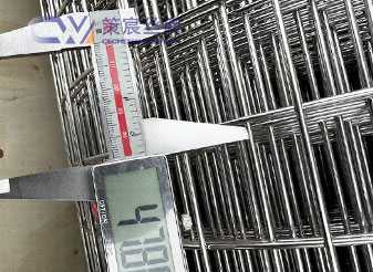 Stainless Steel Welded Mesh 