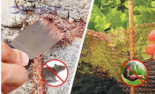 Copper wire mesh used to control slugs and rodents