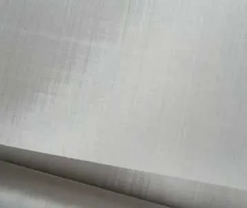 100 micron stainless steel filter mesh