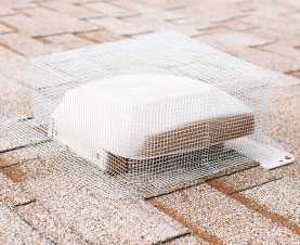 Stainless Steel Ultra-Thin Mesh