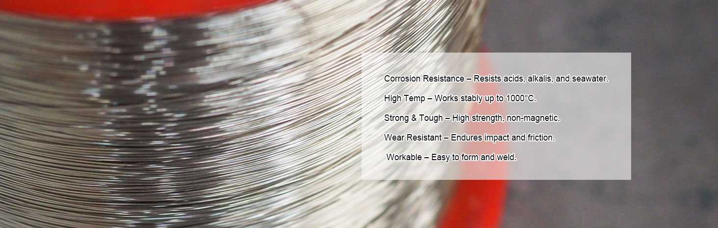 Monel Wire