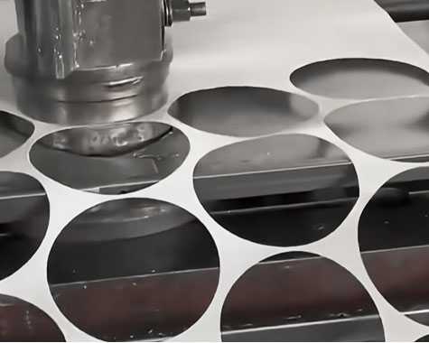 Filter Disc