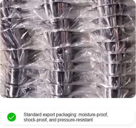 Stainless Steel Tea Strainer